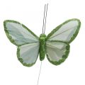 Floristik21 Deko-Schmetterlinge Grün Federschmetterlinge am Draht 10cm 12St