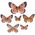 Floristik21 Deko Schmetterlinge mit Clip B4,5–11,5cm 10St Braun Orange