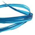 Floristik21 Dekobast zweifarbig Blau 200m