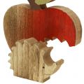 Floristik21 Dekofigur Apfel mit Igel Rot, Natur 13cm 3St