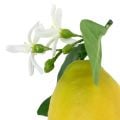 Dekoobst, Zitronen mit Laub Gelb 9,5cm 4St