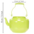 Dekorative Teekanne als Blumenvase Nostalgie-Retro Stil | Floristik21.de