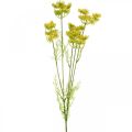 Floristik21 Gelber Dill, Künstliche Kräuterpflanze, Dill zum Dekorieren L80cm
