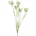 Floristik21 Dill blühend, Kunstpflanze, künstliche Kräuter Grün, Weiß L80cm