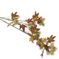 Künstlicher Amberbaumzweig mit Fruchtständen 132cm Herbstfarben Kunststoff | Floristik21.de