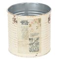 Floristik21 Dose Übertopf Creme Metall Shabby Chic Ø11cm H10,5cm