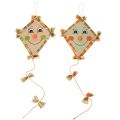 Floristik21 Deko-Drachen aus Papier mit Gesicht und Aufhänger, 40 cm, 2er-Set, bunt