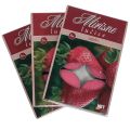 Floristik21 Duftkerzen Erdbeere, Teelichter Duft, Raumduft Kerze Ø3,5cm H1,5cm 18St