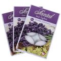 Floristik21 Duftkerzen Lavendel Mimose, Teelichter Duft Ø3,5cm H1,5cm 18St