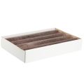 Durchgefärbte Stabkerzen Kupfer - Hochwertige Tischdeko - 50x300mm - 4er Set | Floristik21.de