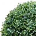 Floristik21 Echeveria Kugel künstlich Grün Ø18cm