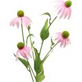 Floristik21 Echinacea Blüte künstlich Hellrosa 90cm