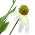 Floristik21 Echinacea Blüte künstlich Weiß 90cm