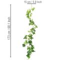 Künstliche Efeu-Girlande 173cm aus Kunststoff, grün, für Innen- und geschützte Außendekoration | Floristik21.de