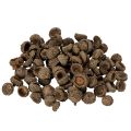 Floristik21 Eichelkappen Natur Braun 2cm 300g Dekoration Herbst Advent