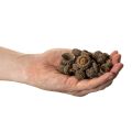 Eichelkappen Natur Braun 2cm 300g Dekoration Herbst Advent | Floristik21.de