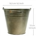 Floristik21 Deko-Eimer mit Henkel, Gartendeko, Pflanztopf, Metallgefäß Ø16,5cm H15cm