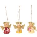 Floristik21 Deko-Anhänger Engel 5 cm aus Holz mit Stern, 9 Stück, mehrfarbig