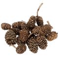 Floristik21 Erlenzapfen Naturprodukt mit Goldüberzug 3 cm 300 g für Dekoration und Floristik