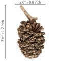 Erlenzapfen Naturprodukt mit Goldüberzug 3 cm 300 g für Dekoration und Floristik | Floristik21.de