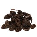 Floristik21 Erlenzapfen lose 3 cm Naturbraun 300 g für Dekoration