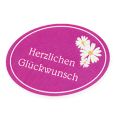 Floristik21 Etiketten „Herzlichen Glückwunsch" 250St