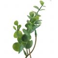 Floristik21 Eukalyptus Zweig künstlich Grün 37cm 6St