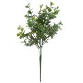 Floristik21 Eukalyptus Deko Künstliche Pflanzen Eukalyptuszweige 34cm