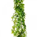 Floristik21 Hochzeitsdeko Eukalyptus-Girlande künstlich Grün 122cm
