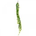 Floristik21 Hochzeitsdeko Eukalyptus-Girlande künstlich Grün 122cm