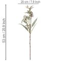 Künstlicher Eukalyptuszweig 53cm Grün 3er-Set | Floristik21.de