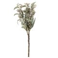 Künstlicher Eukalyptuszweig 53cm Grün 3er-Set | Floristik21.de
