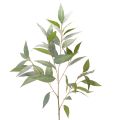 Floristik21 Künstlicher Eukalyptuszweig Kunststoff naturgrün 100cm Innenbereich