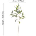 Künstlicher Eukalyptuszweig Kunststoff naturgrün 100cm Innenbereich | Floristik21.de