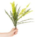 Kunststoff Farnzweig grün 45cm für Innenbereich | Floristik21.de