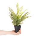 Kunstpflanze Farn im Topf 40 cm Grün für Innenbereich | Floristik21.de