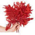 Farnzweig konserviert gefärbt 42cm Rot 10 Stück für Innenbereich | Floristik21.de