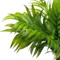 Floristik21 Palmwedel Palmen Deko Kunstpflanzen Grün 30cm 3St