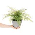 Kunststoff-Farn im grauen Pflanztopf, 35 cm Höhe, Grün | Floristik21.de