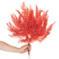 Konservierter Farn Rot 60cm 10 Stück für Innenbereich | Floristik21.de
