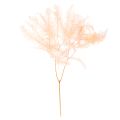 Floristik21 Getrocknete Farnwedel 60cm Hellrosa 10 St für Dekoration