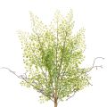 Floristik21 Künstlicher Ruscus Zweig 41 cm Grün für floristische Dekorationen
