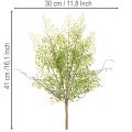 Künstlicher Ruscus Zweig 41 cm Grün für floristische Dekorationen | Floristik21.de