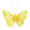 Floristik21 Feder-Schmetterling 10cm Gelb 12St