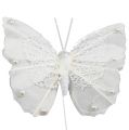 Floristik21 Federschmetterling 8cm mit Draht Weiß 12St