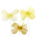 Floristik21 Deko-Schmetterlinge am Draht, Frühlingsdeko, Federschmetterlinge in Gelbtönen 6St