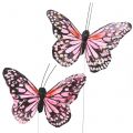 Floristik21 Schmetterling am Draht Rosa 11cm 12St