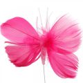 Floristik21 Federschmetterlinge Rosa/Pink/Rot, Deko-Schmetterlinge am Draht 6St