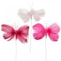 Floristik21 Federschmetterlinge Rosa/Pink/Rot, Deko-Schmetterlinge am Draht 6St