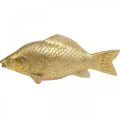 Floristik21 Deko Fisch Goldfarben, Statue zum Hinstellen, Fischskulptur Polyresin Klein L18cm